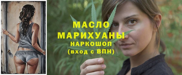 spice Богородицк