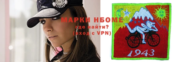spice Богородицк