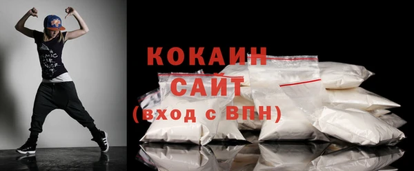 spice Богородицк