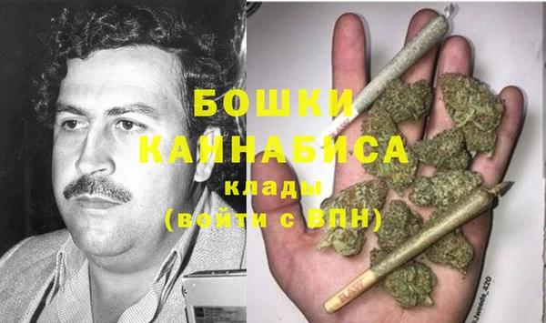 прущие грибы Богородск