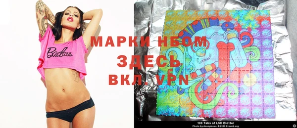 spice Богородицк