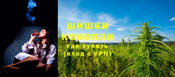 spice Богородицк