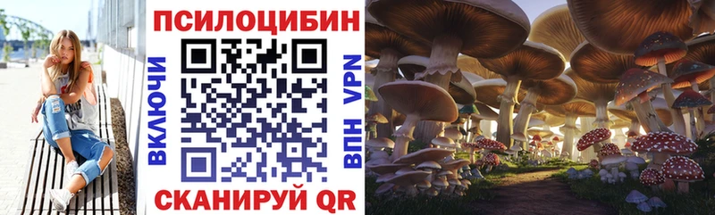 Псилоцибиновые грибы Cubensis  где продают   мега вход  Берёзовка 